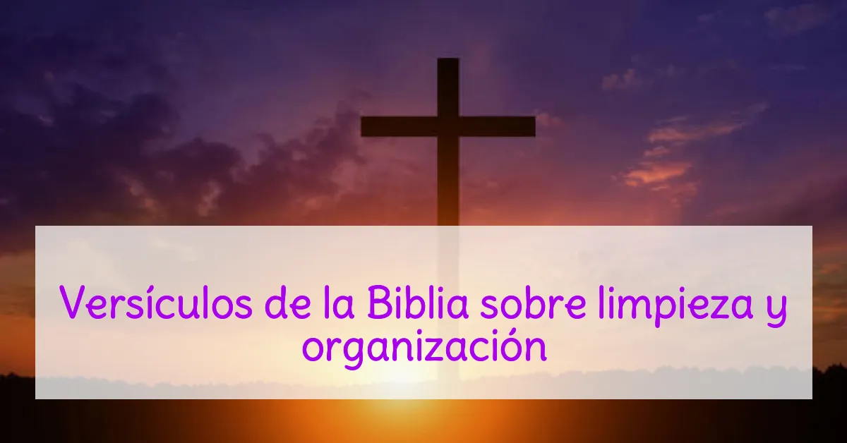 Versículos de la Biblia sobre limpieza y organización