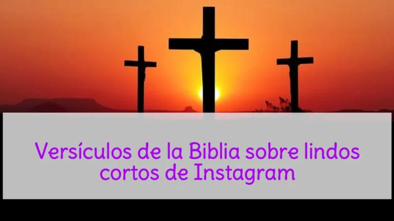 Versículos de la Biblia sobre lindos cortos de Instagram