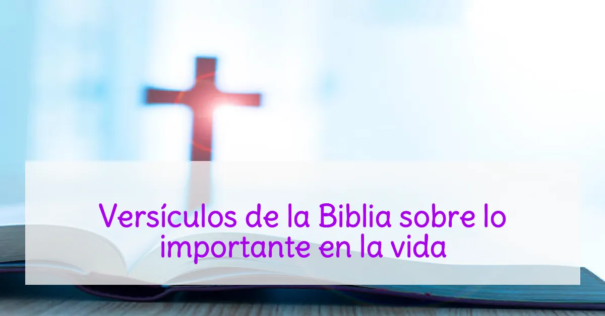 Versículos de la Biblia sobre lo importante en la vida