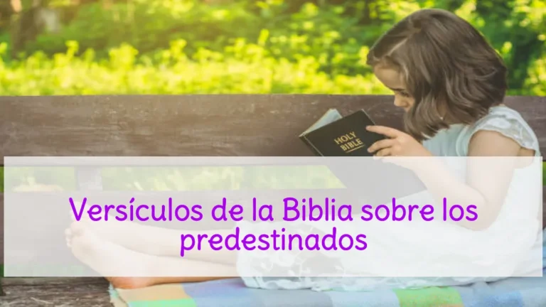 Versículos de la Biblia sobre los predestinados