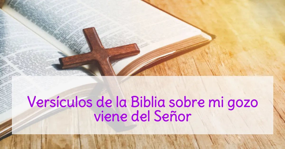 Versículos de la Biblia sobre mi gozo viene del Señor