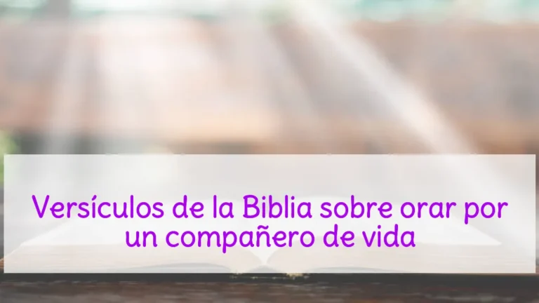 Versículos de la Biblia sobre orar por un compañero de vida