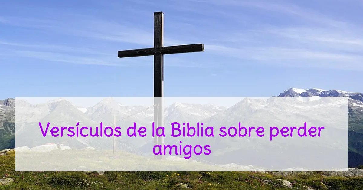 Versículos de la Biblia sobre perder amigos
