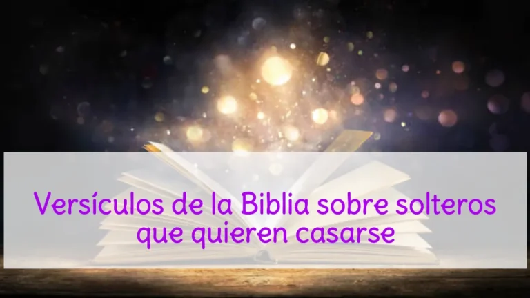 Versículos de la Biblia sobre solteros que quieren casarse