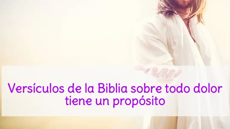 Versículos de la Biblia sobre todo dolor tiene un propósito