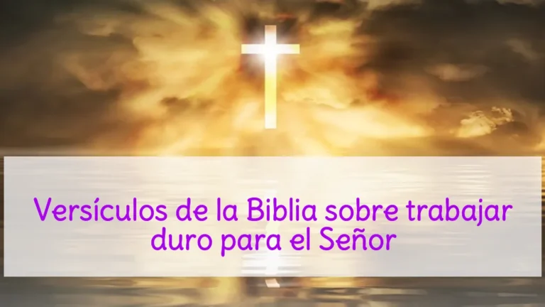 Versículos de la Biblia sobre trabajar duro para el Señor