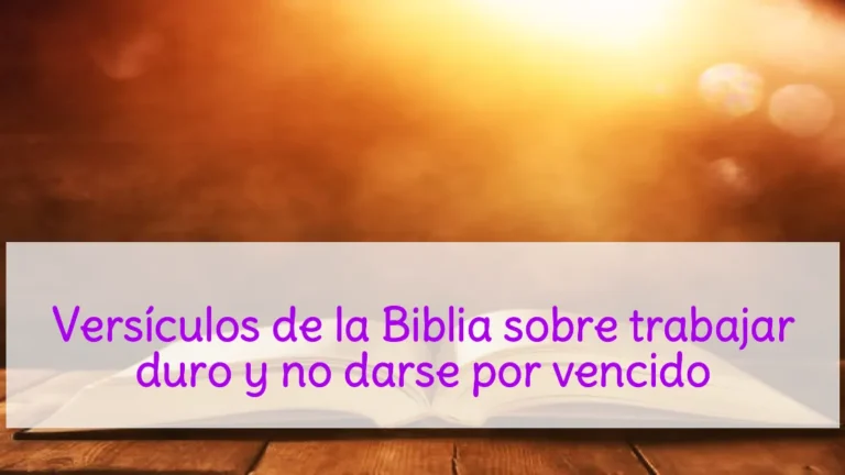 Versículos de la Biblia sobre trabajar duro y no darse por vencido
