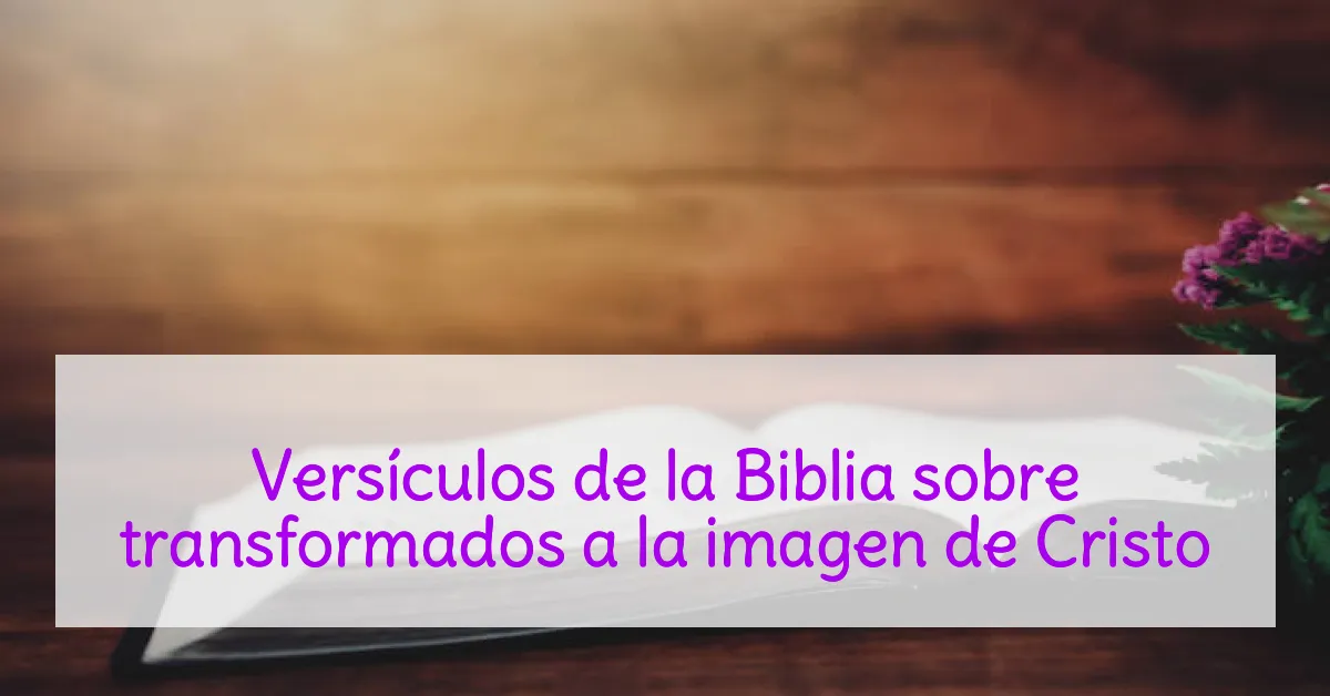 Versículos de la Biblia sobre transformados a la imagen de Cristo
