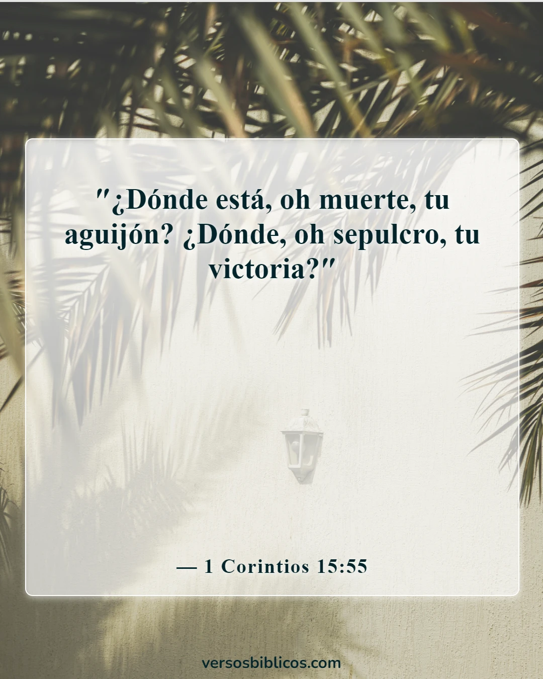 Versículos de la Biblia sobre el duelo por la pérdida de un ser querido (1 Corintios 15:55)