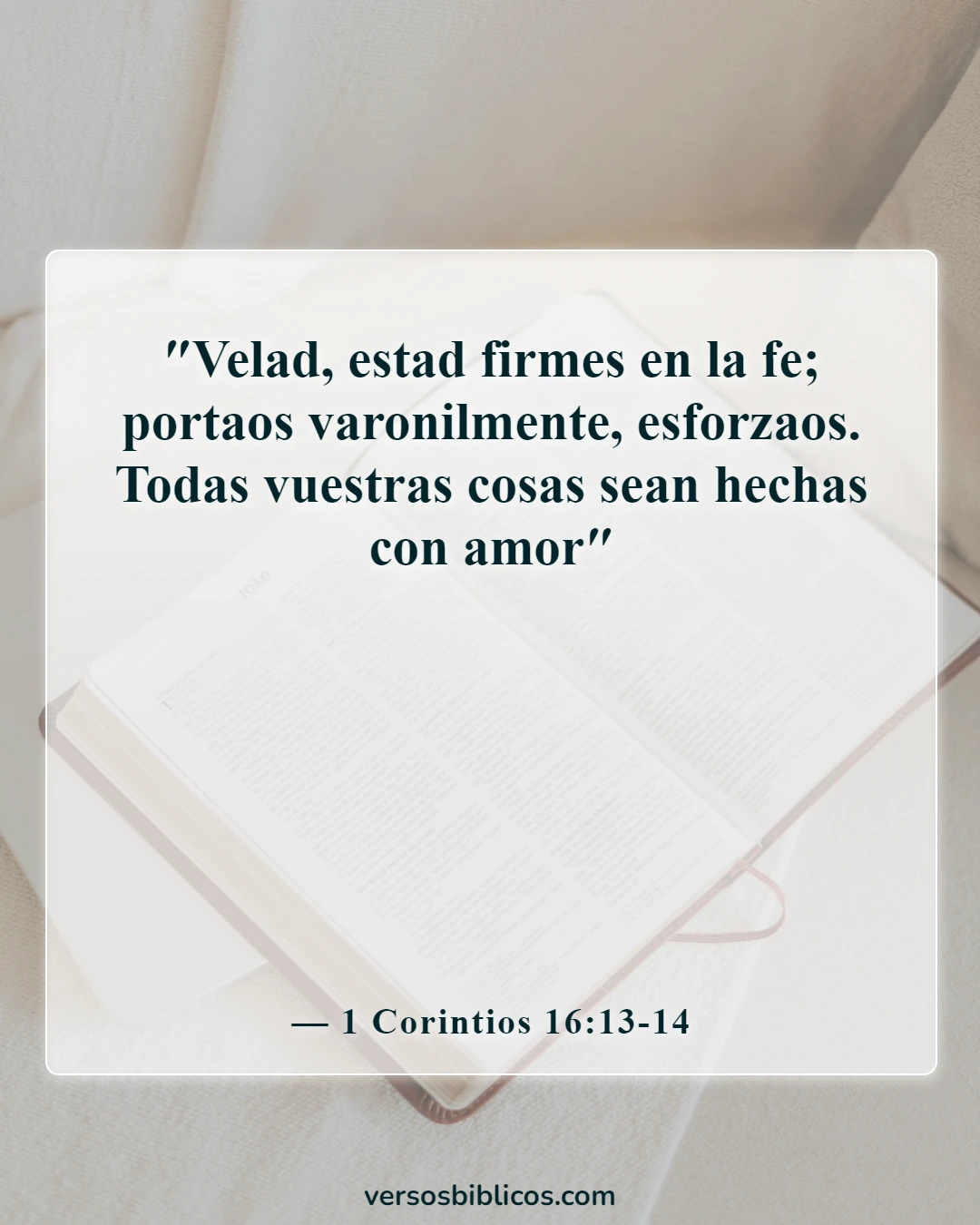 Versículos de la Biblia sobre lastimar a una mujer (1 Corintios 16:13-14)