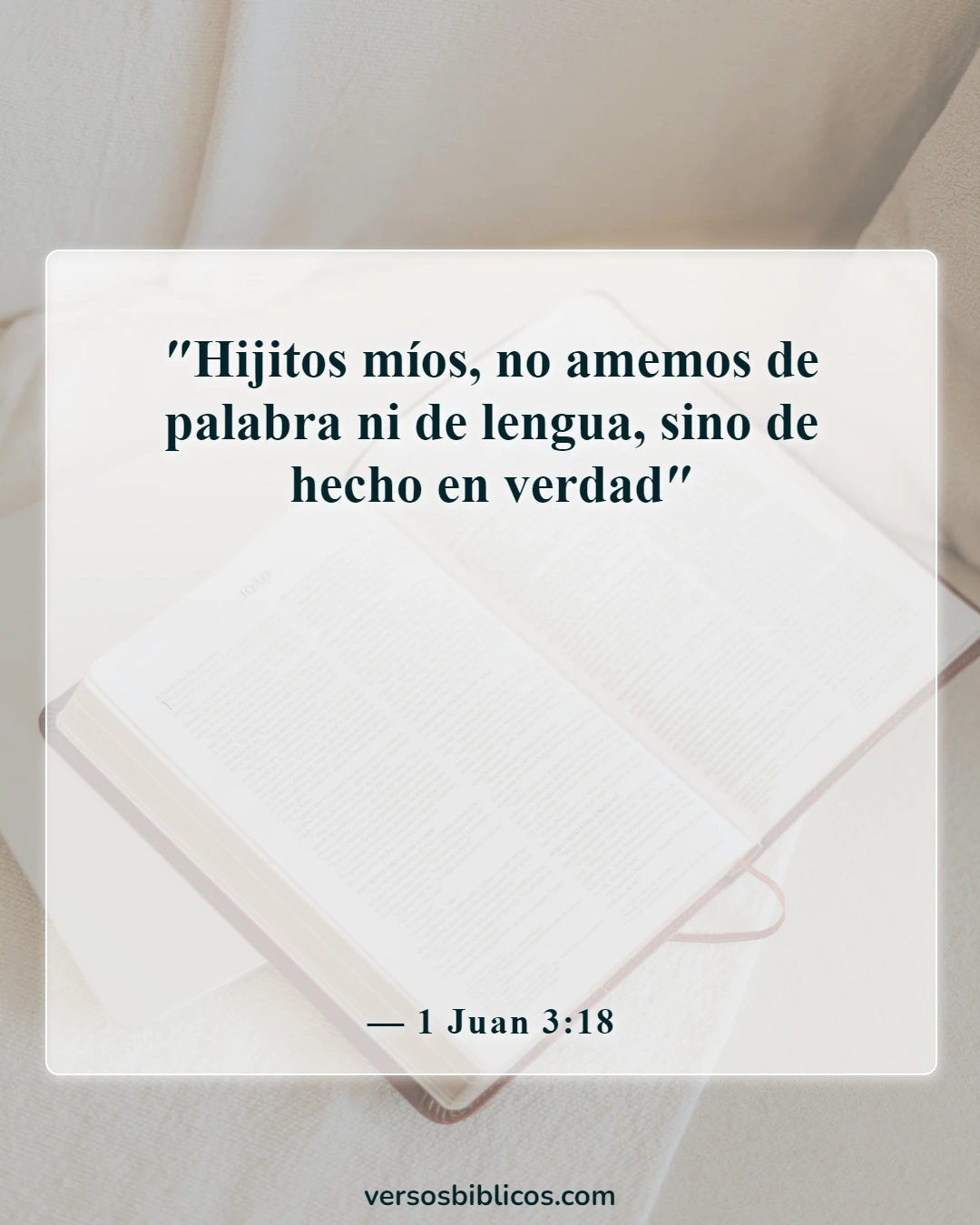Versículos de la Biblia sobre aceptar a los demás (1 Juan 3:18)