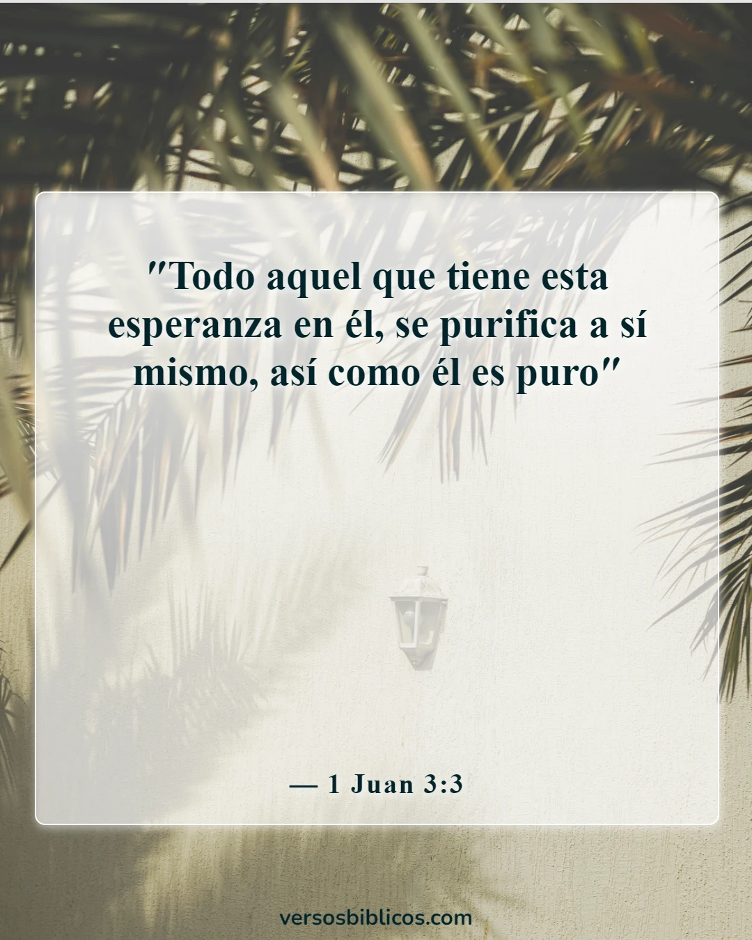 Versículos de la Biblia sobre la búsqueda de la santidad (1 Juan 3:3)