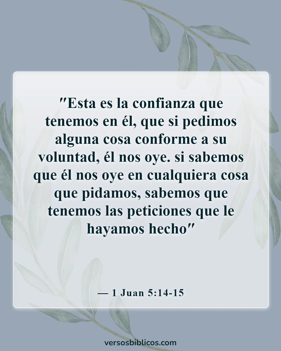 Versículos de la Biblia sobre víctimas de accidentes automovilísticos (1 Juan 5:14-15)
