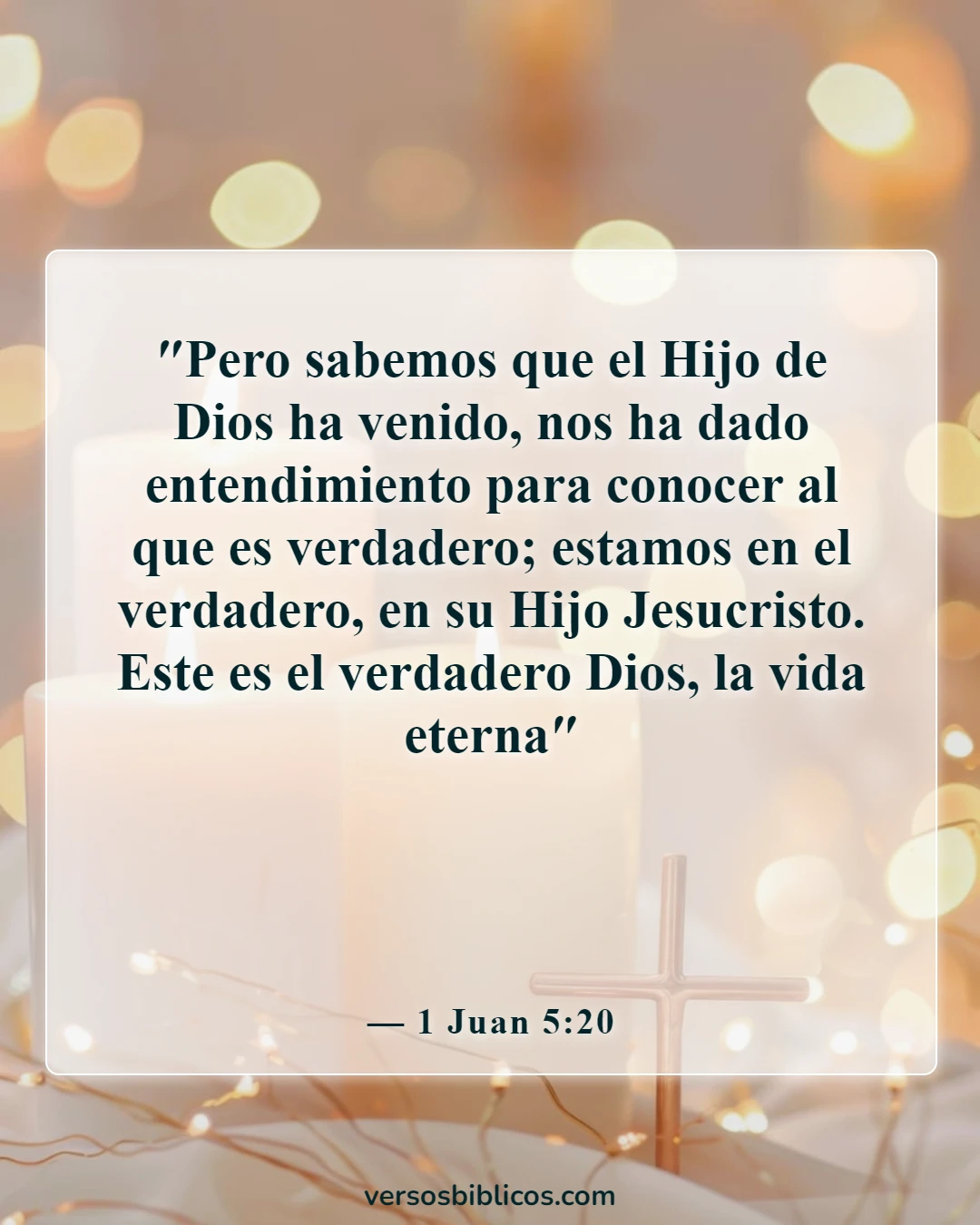 Versículos de la Biblia sobre despertar (1 Juan 5:20)