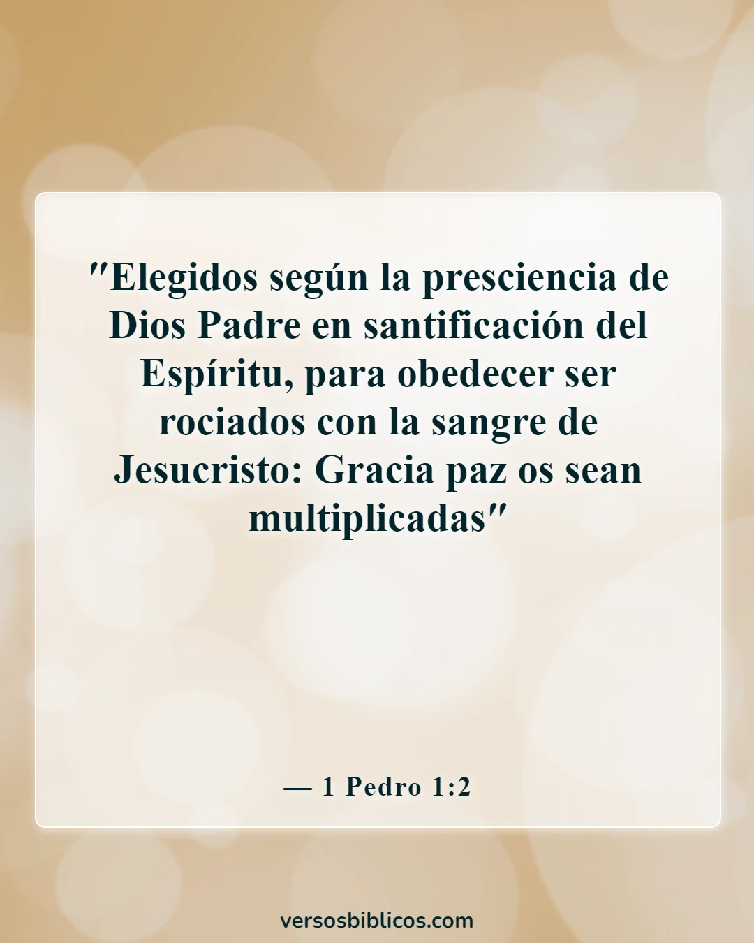 Versículos de la Biblia sobre la Trinidad (1 Pedro 1:2)