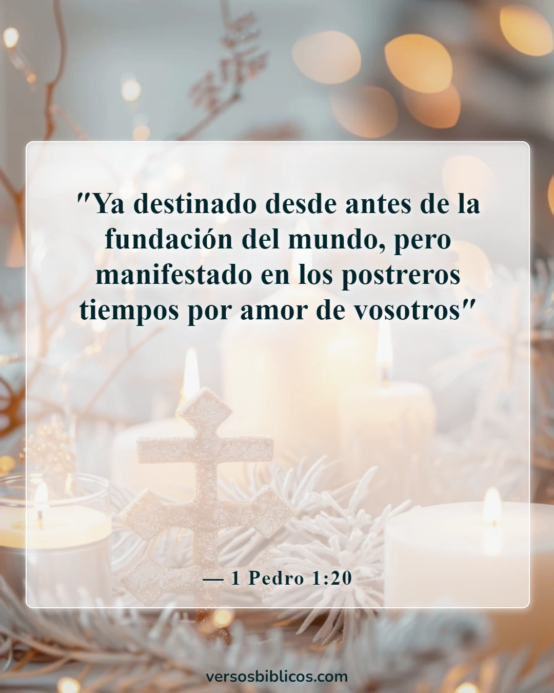 Versículos de la Biblia sobre la Navidad (1 Pedro 1:20)