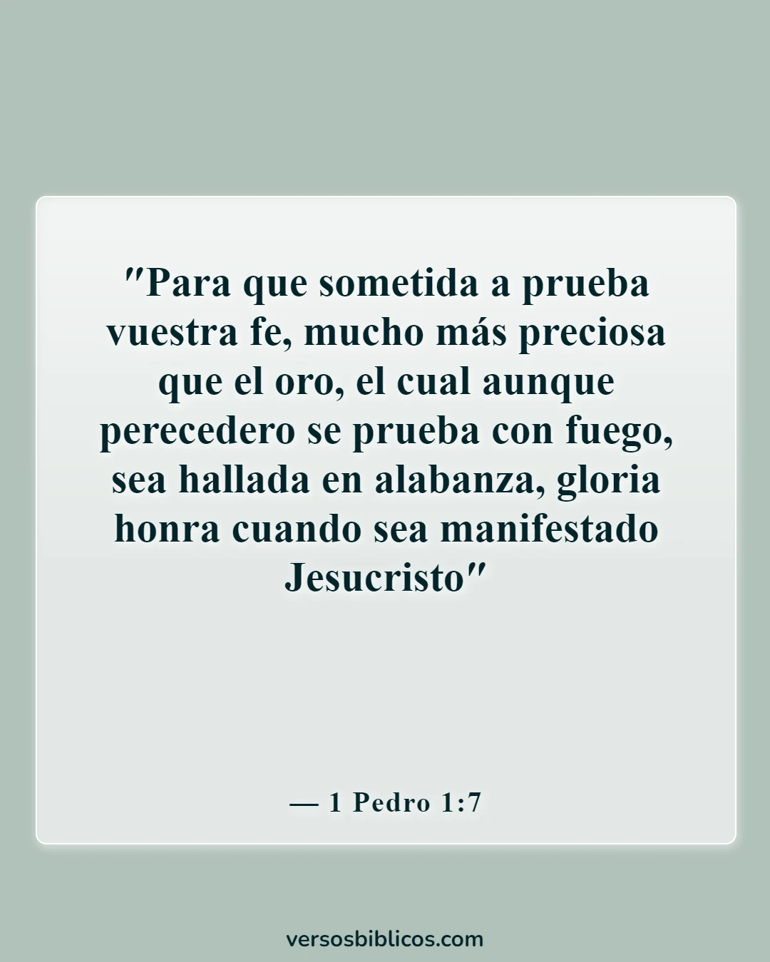 Versículos de la Biblia sobre cuestionar la fe de alguien (1 Pedro 1:7)