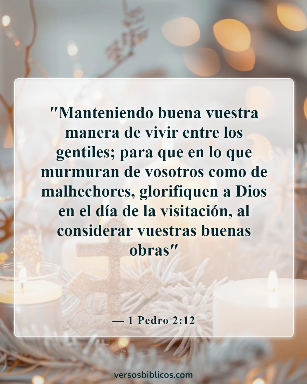 Versículos de la Biblia sobre las trampas en los negocios (1 Pedro 2:12)