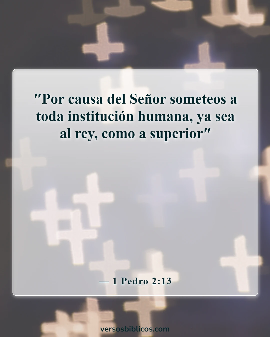 Versículos de la Biblia sobre el respeto (1 Pedro 2:13)