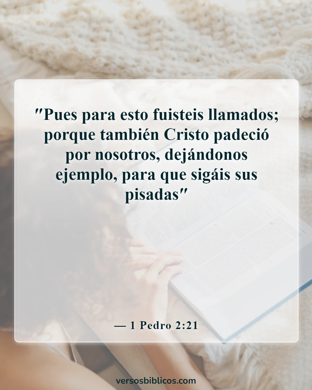 Versículos de la Biblia sobre un ejemplo para los incrédulos (1 Pedro 2:21)