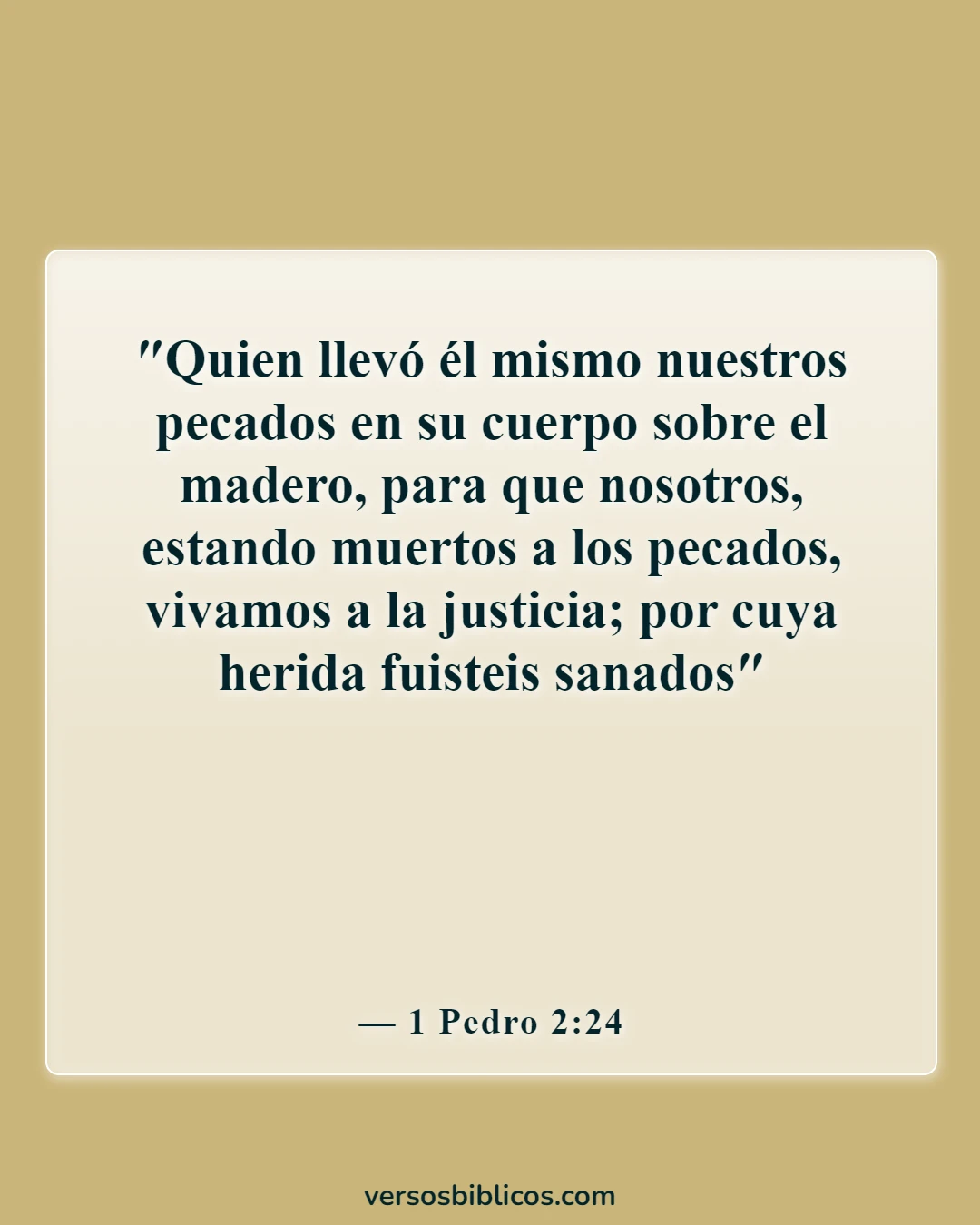 Versículos de la Biblia sobre el pecado y el infierno (1 Pedro 2:24)