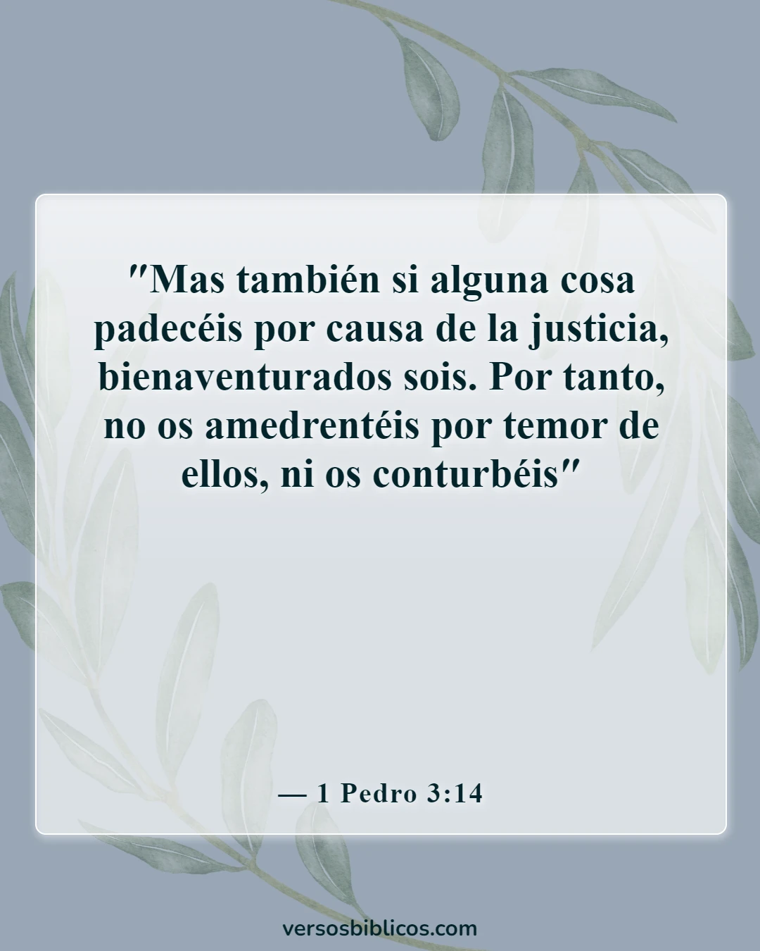 Versículos de la Biblia sobre la persecución (1 Pedro 3:14)