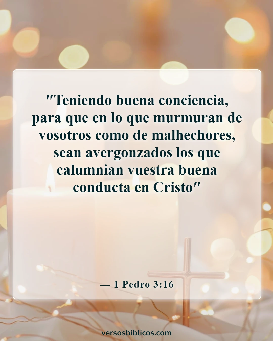 Versículos de la Biblia sobre un hombre íntegro (1 Pedro 3:16)