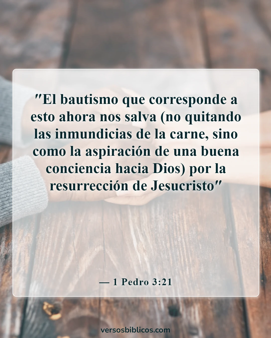 Versículos de la Biblia sobre el bautismo infantil (1 Pedro 3:21)