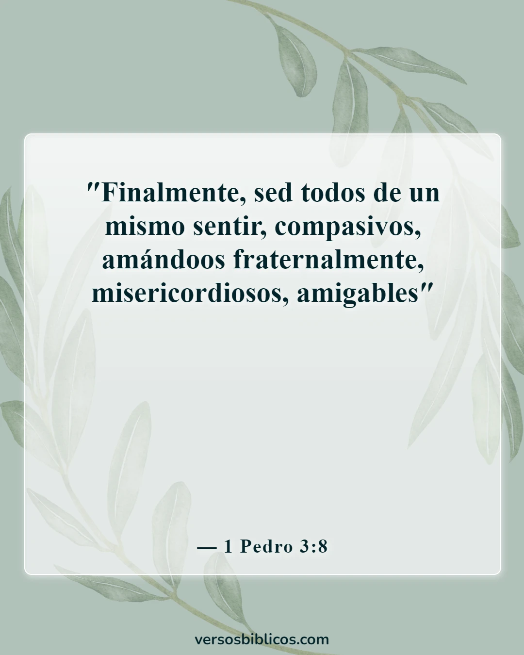 Versículos de la Biblia sobre llevar las cargas unos de otros (1 Pedro 3:8)