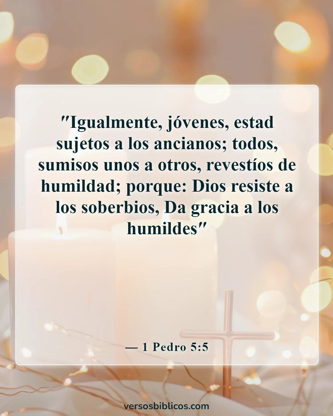 Versículos de la Biblia sobre no ser arrogante (1 Pedro 5:5)