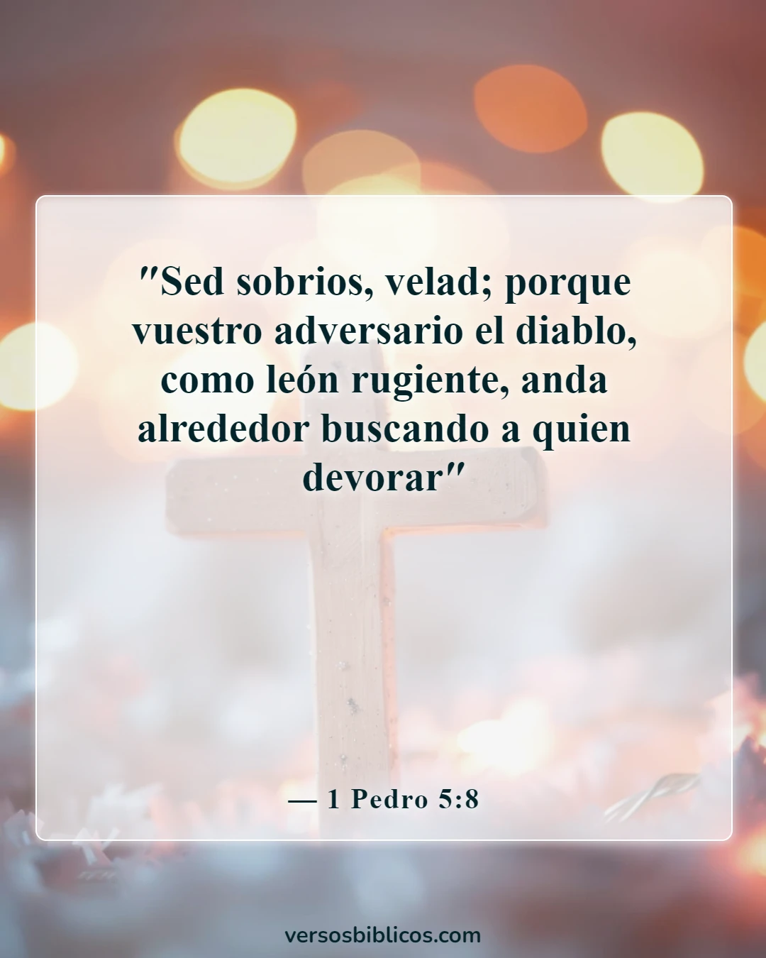Versículos de la Biblia sobre ponerse toda la armadura de Dios (1 Pedro 5:8)