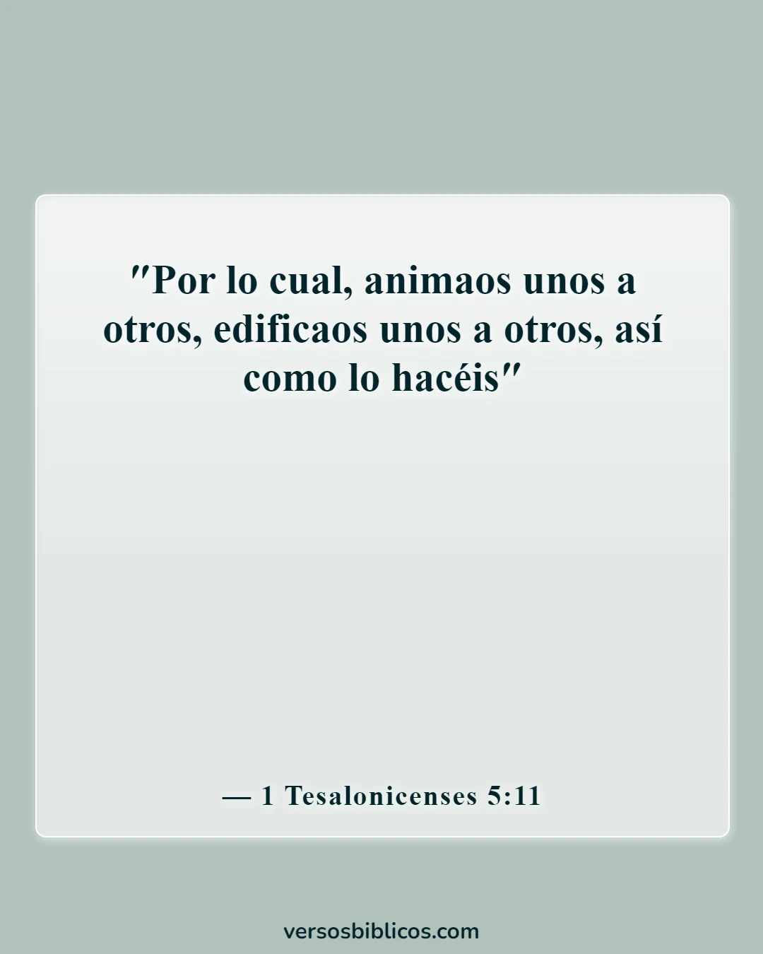 Versículos de la Biblia sobre aceptar a los demás (1 Tesalonicenses 5:11)