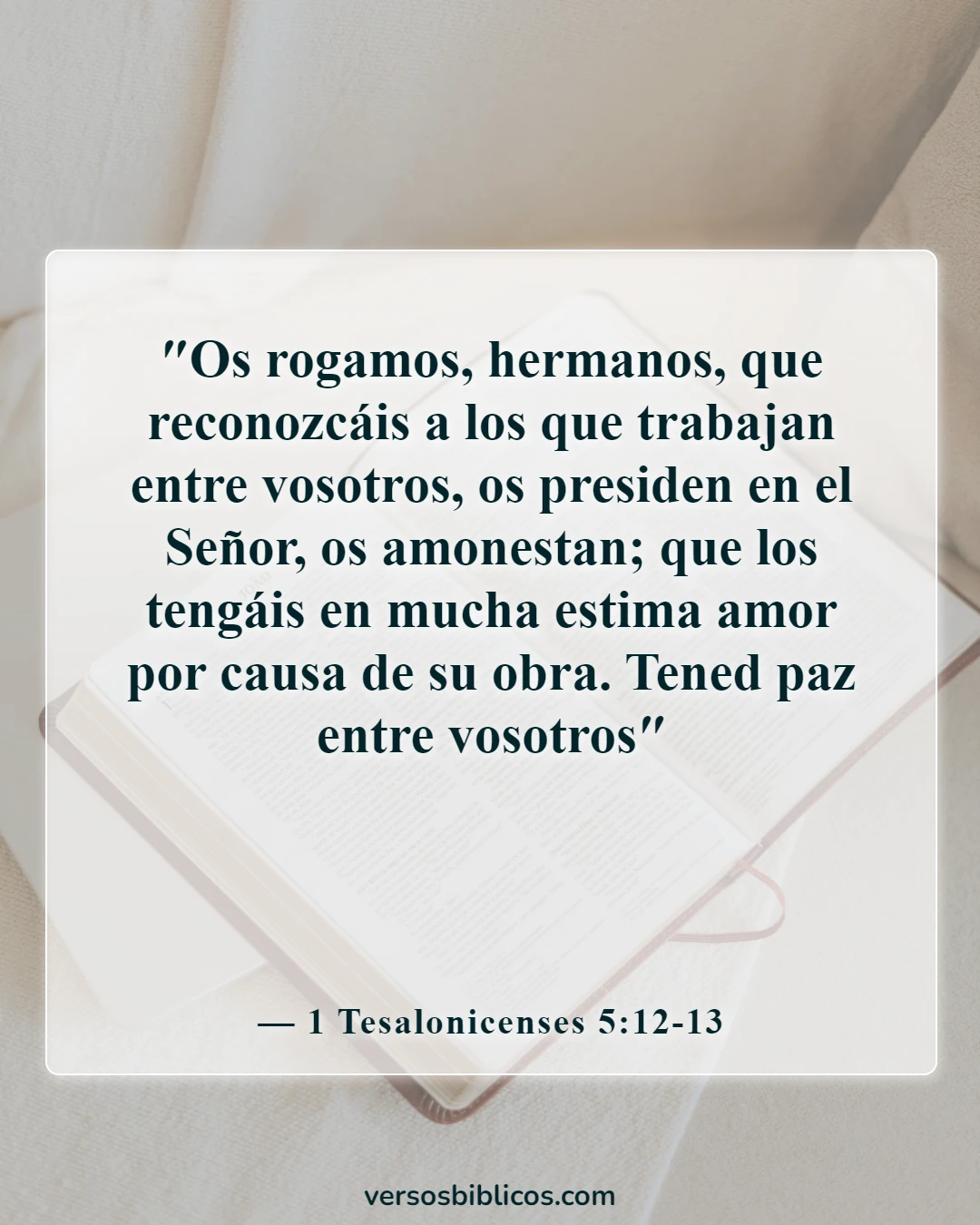 Versículos de la Biblia sobre cómo animar a los trabajadores de la iglesia (1 Tesalonicenses 5:12-13)