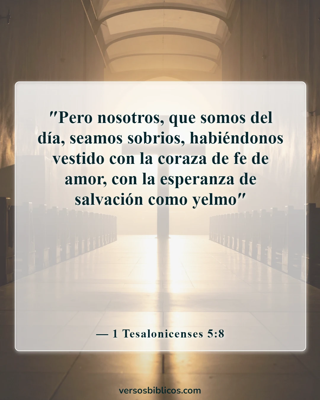 Versículos de la Biblia sobre ponerse toda la armadura de Dios (1 Tesalonicenses 5:8)