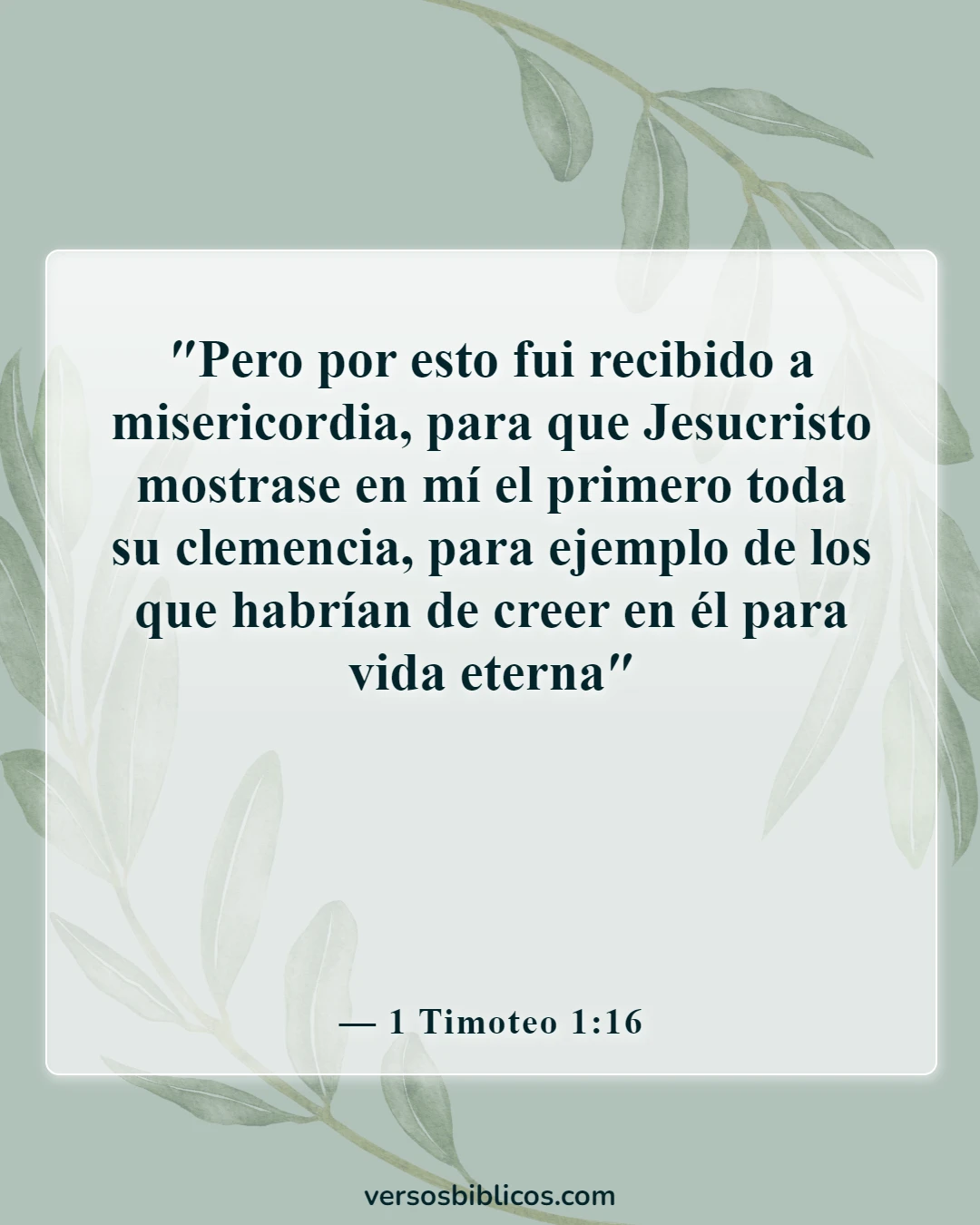 Versículos de la Biblia sobre la paciencia en las relaciones (1 Timoteo 1:16)