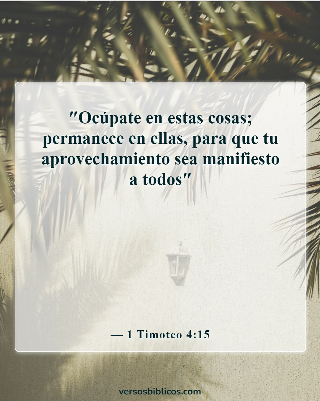 Versículos de la Biblia sobre la renovación de tu mente (1 Timoteo 4:15)