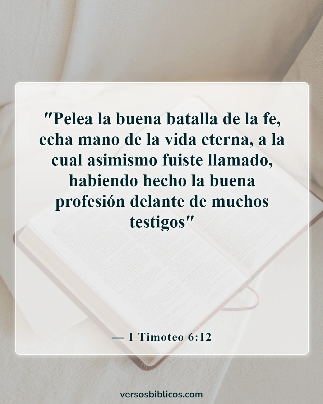 Versículos de la Biblia sobre ponerse toda la armadura de Dios (1 Timoteo 6:12)