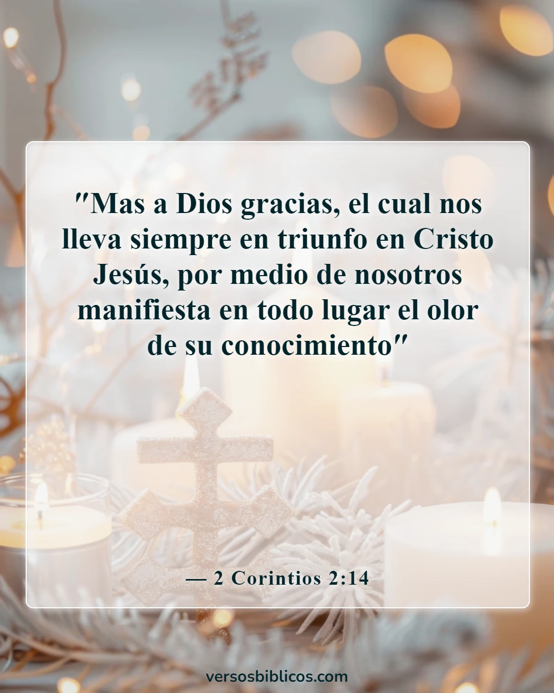 Versículos de la Biblia sobre protegerte del mal (2 Corintios 2:14)