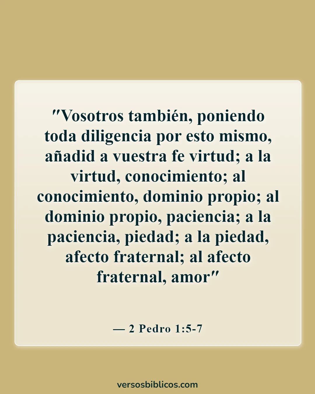 Versículos de la Biblia sobre la búsqueda de la santidad (2 Pedro 1:5-7)