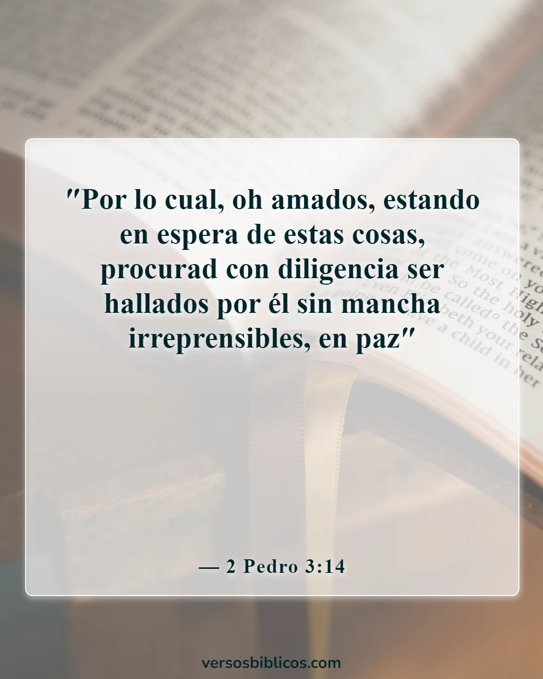 Versículos de la Biblia sobre despertar (2 Pedro 3:14)
