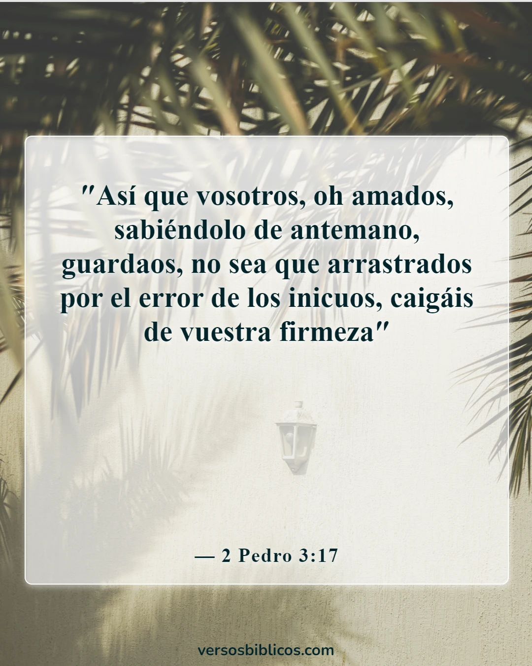 Versículos de la Biblia sobre advertencias contra los falsos maestros (2 Pedro 3:17)