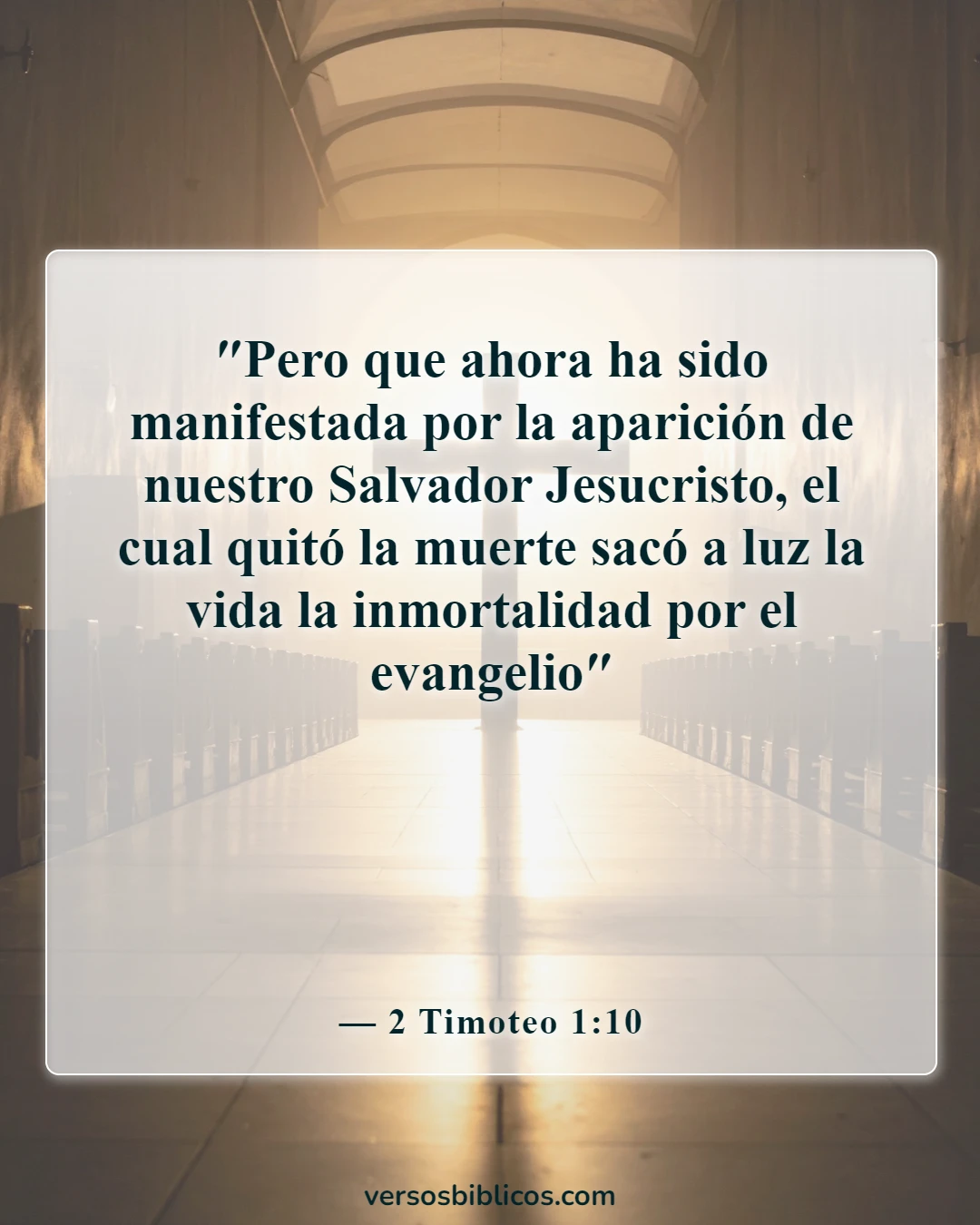 Versículos de la Biblia sobre Jesús sufriendo por nuestros pecados (2 Timoteo 1:10)