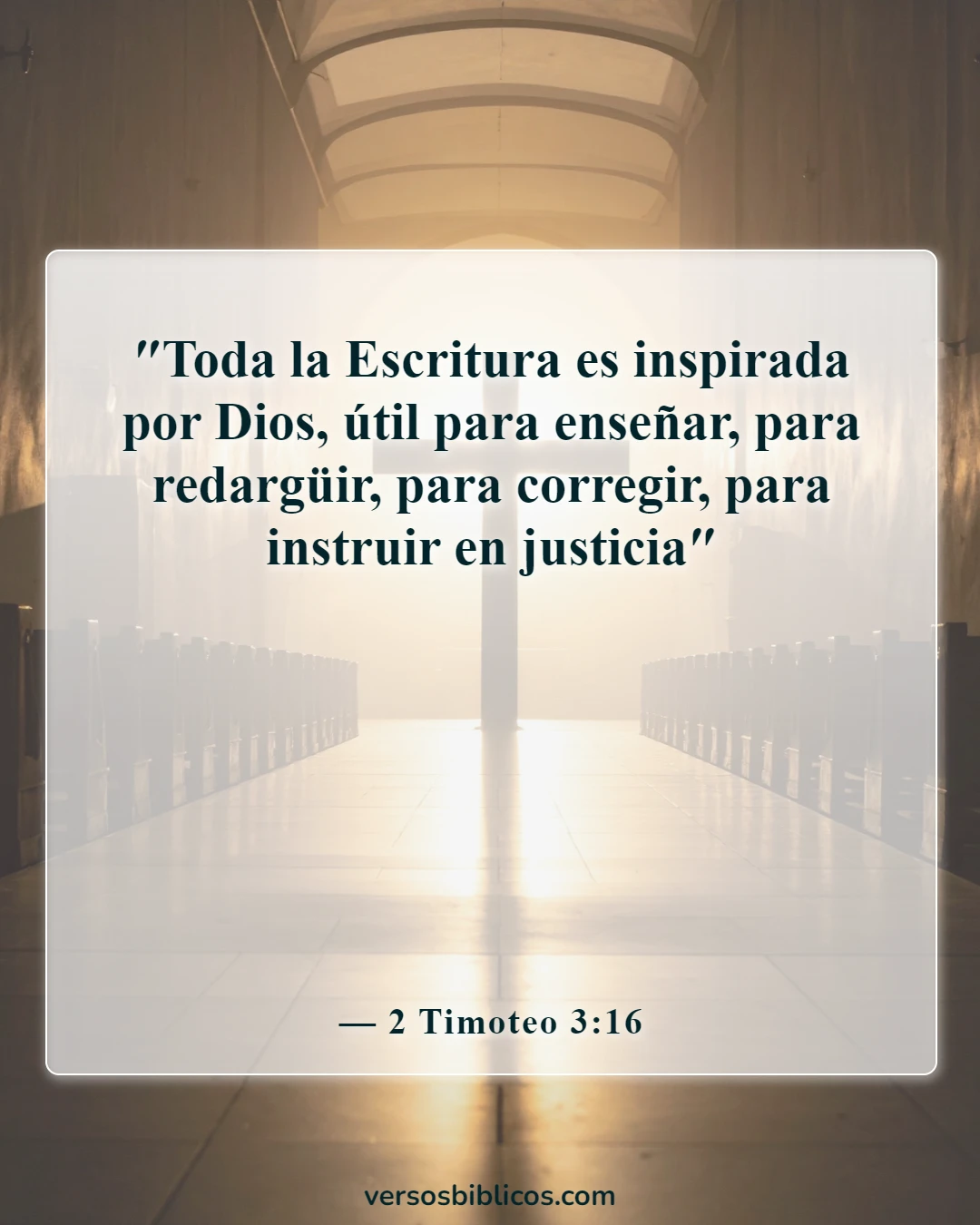Versículos de la Biblia sobre ponerse toda la armadura de Dios (2 Timoteo 3:16)
