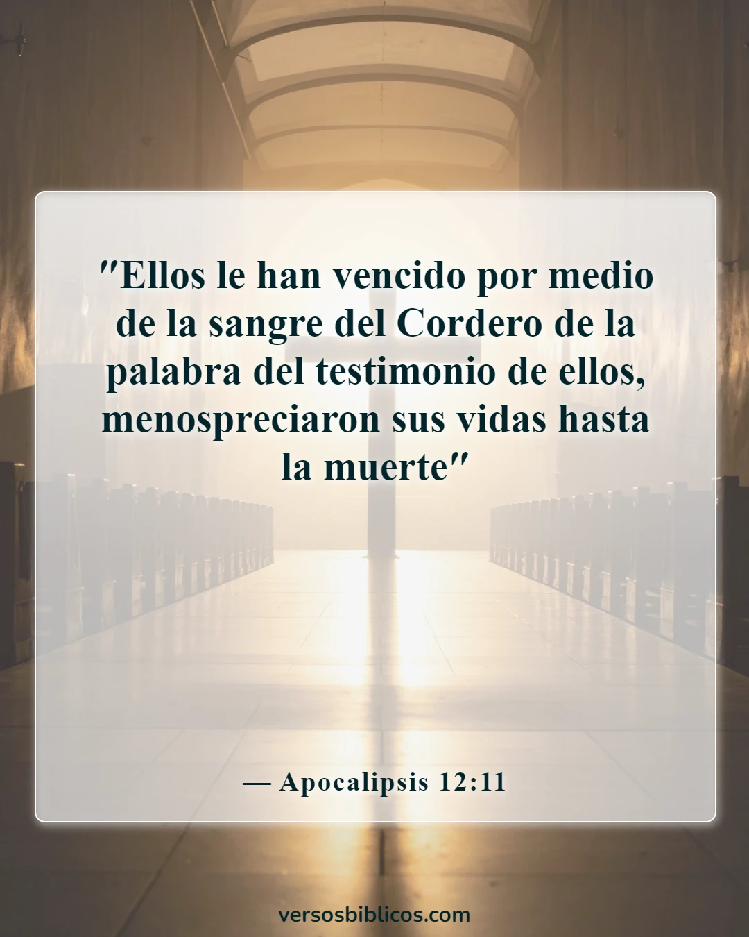 Versículos de la Biblia sobre ser un guerrero, no preocuparse (Apocalipsis 12:11)