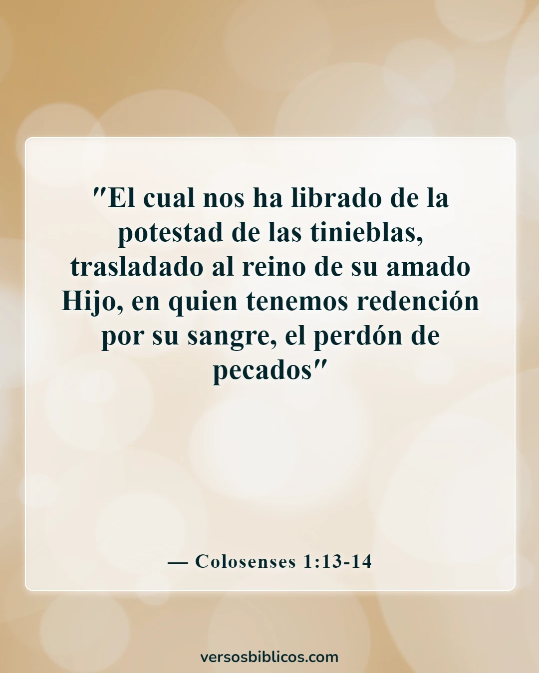 Versículos de la Biblia sobre el pecado y el infierno (Colosenses 1:13-14)