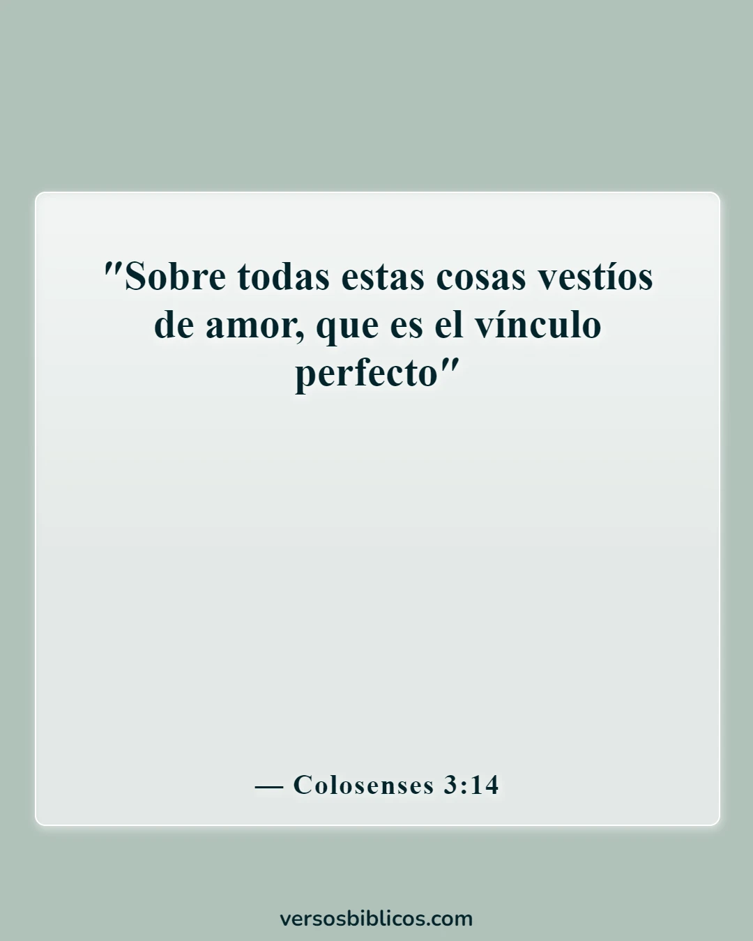 Versículos de la Biblia sobre la suegra (Colosenses 3:14)
