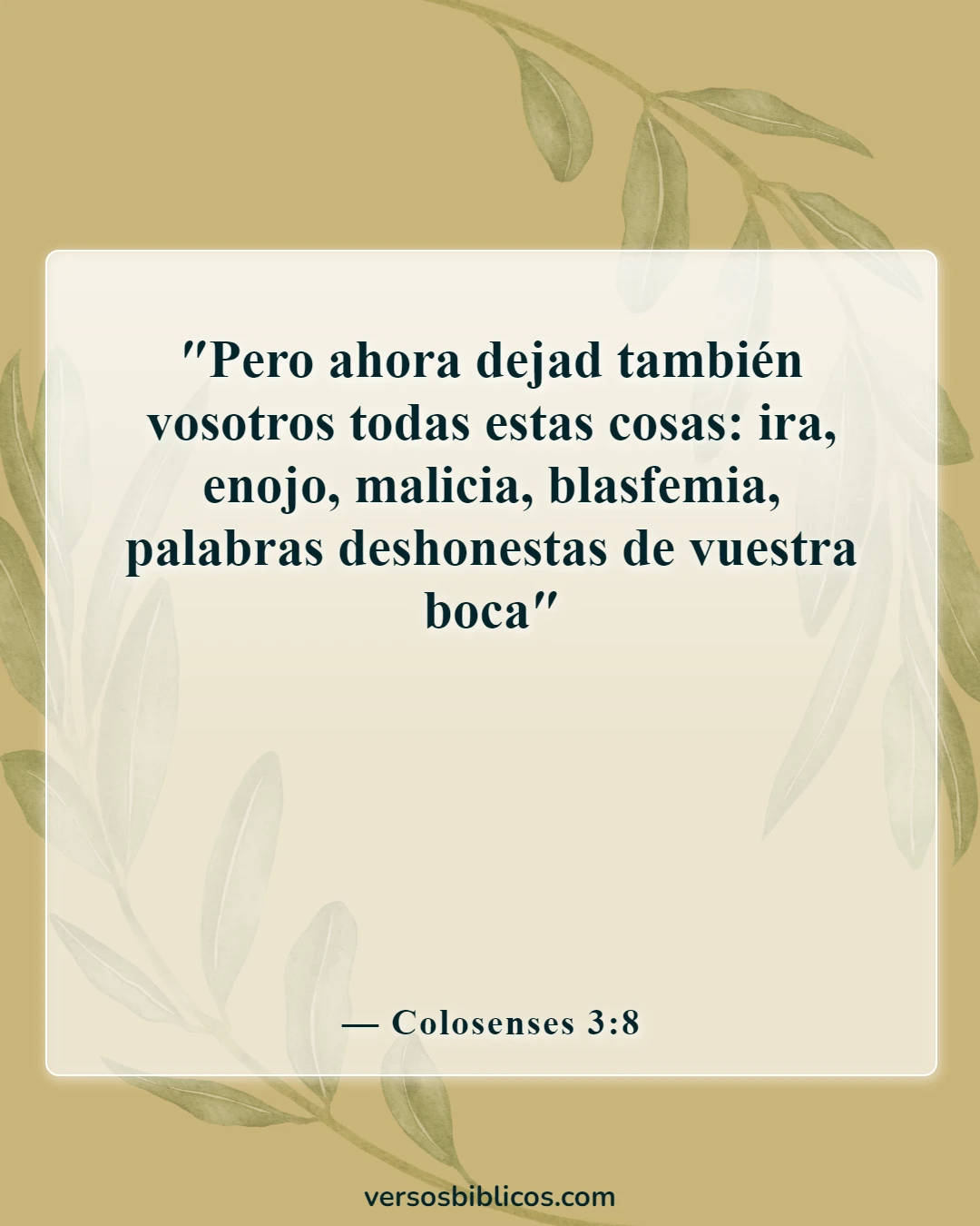 Versículos de la Biblia sobre decir malas palabras y lenguajes (Colosenses 3:8)