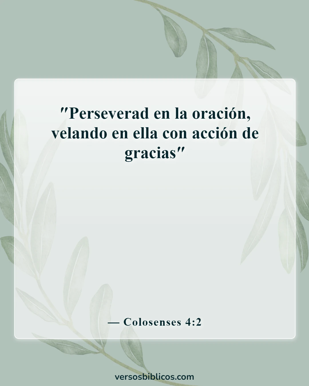 Versículos de la Biblia sobre el autocontrol y la autodisciplina (Colosenses 4:2)