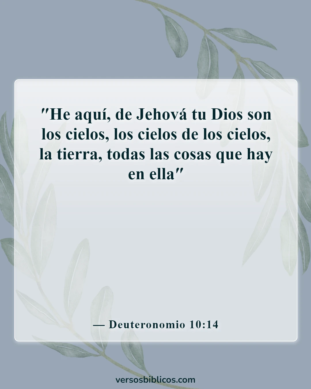 Versículos de la Biblia sobre el cuidado del medio ambiente (Deuteronomio 10:14)