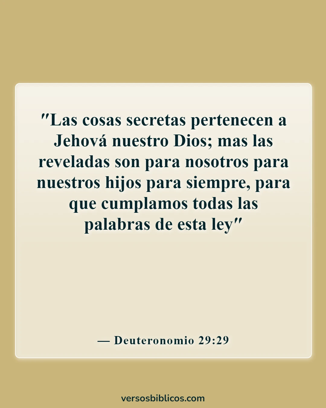 Versículos de la Biblia sobre la muerte inesperada de un niño (Deuteronomio 29:29)